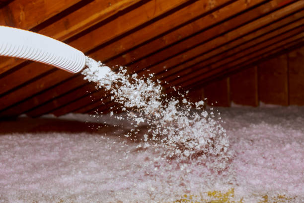  South Daytona, FL Insulation Contractor Pros
