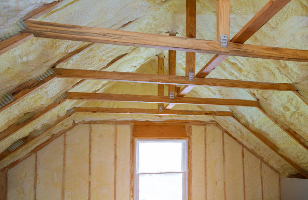 Best Residential Insulation in South Daytona, FL
