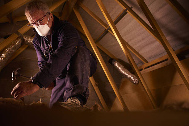 Best Insulation Materials and Products in South Daytona, FL